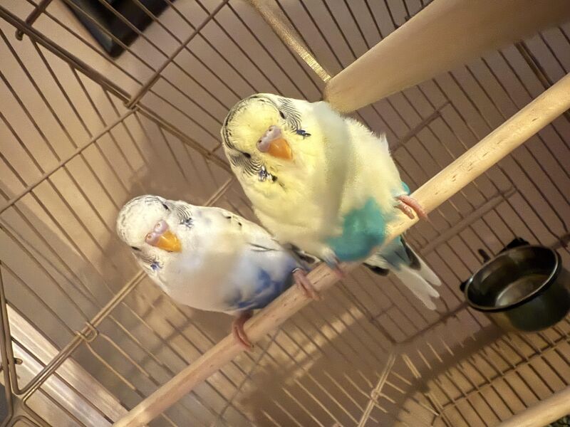 Need help identifying