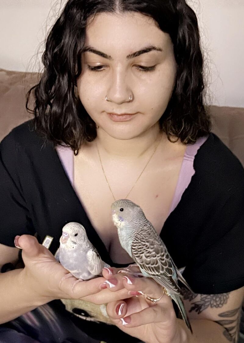 (Old photo) Dusty and Zucchini update pt. 7