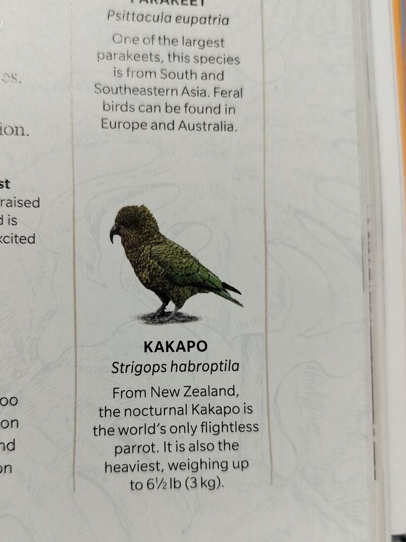 Is this a mistake? I think this bird in the description is a kea parrot. This is a bird book by smithsonian