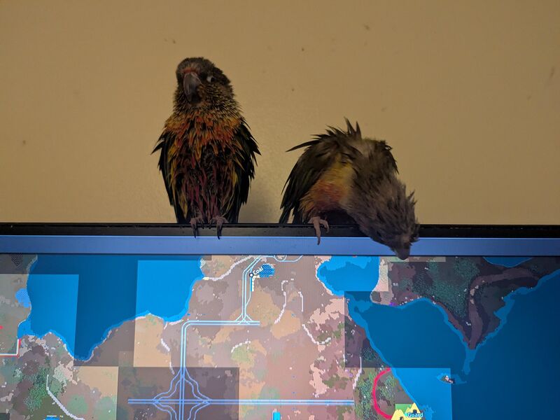 Christmas day bath aftermath