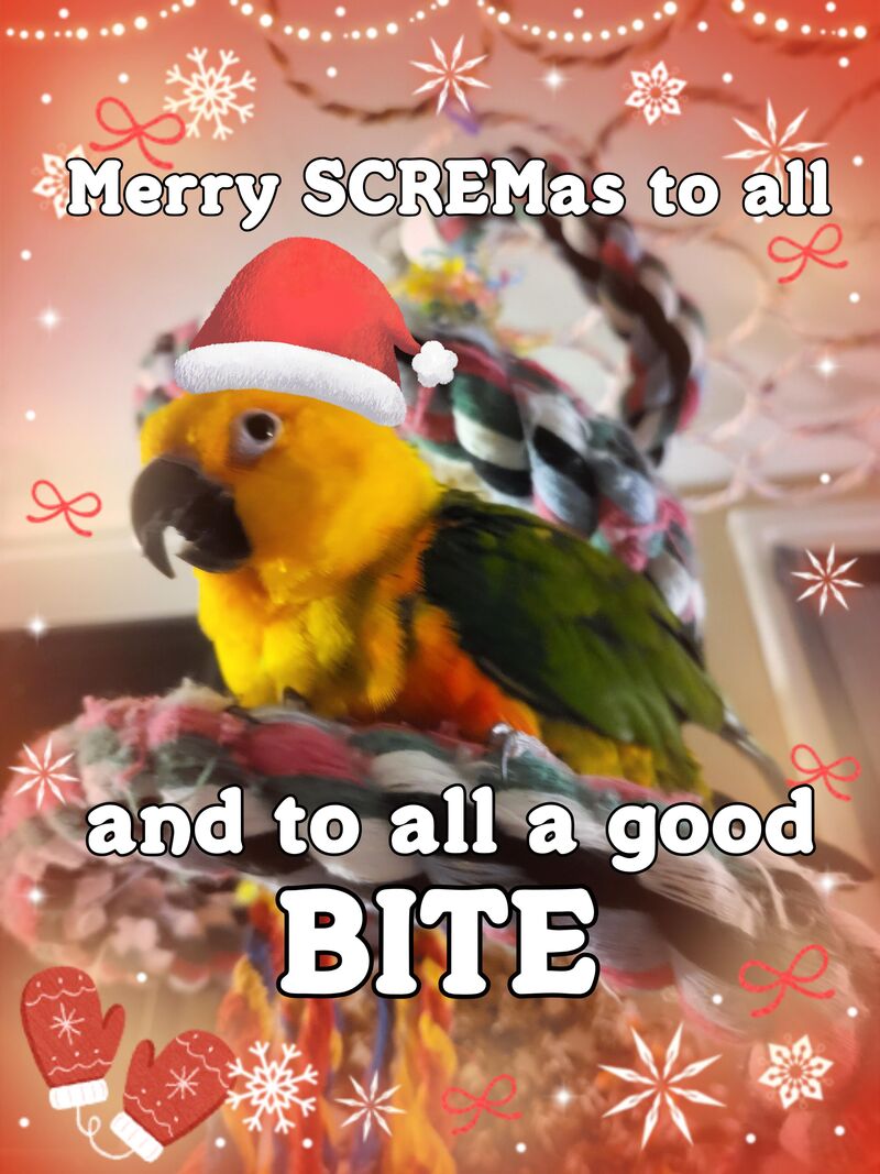 A little message from Queso