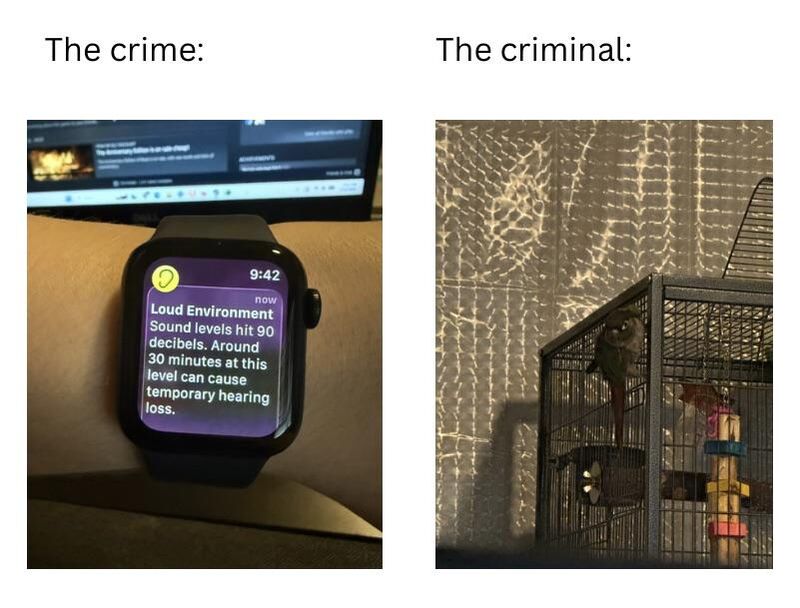 Dude please stop yelling