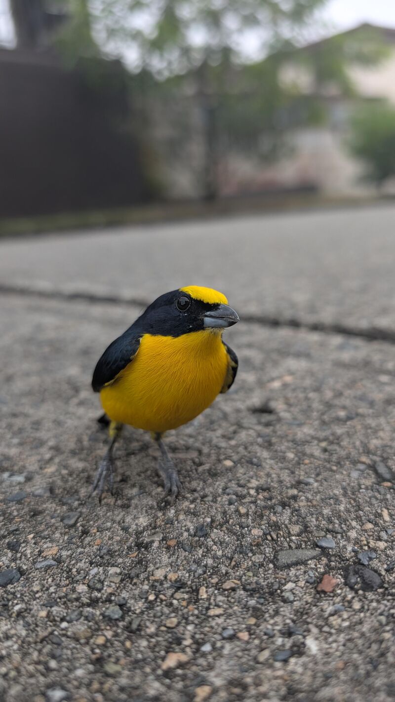 Just wanted me to take the picture