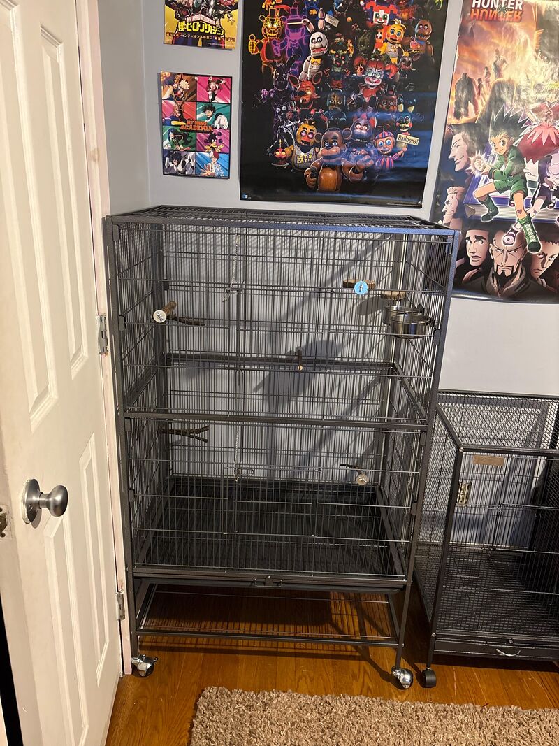 Is this cage good for a cokatiel?? (Yes i know i need toys)
