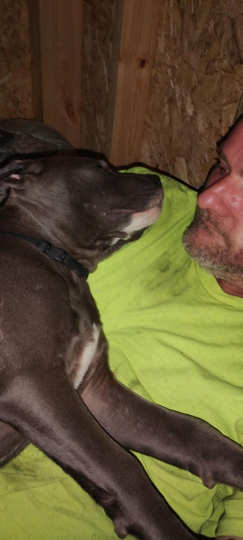 Him's all tuckered out