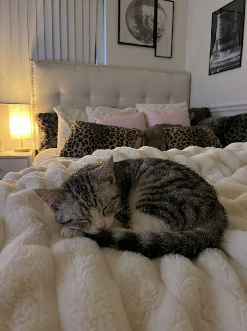 She claimed the bed before I could