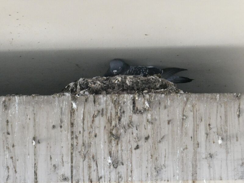 While people looked at the building, I saw a life