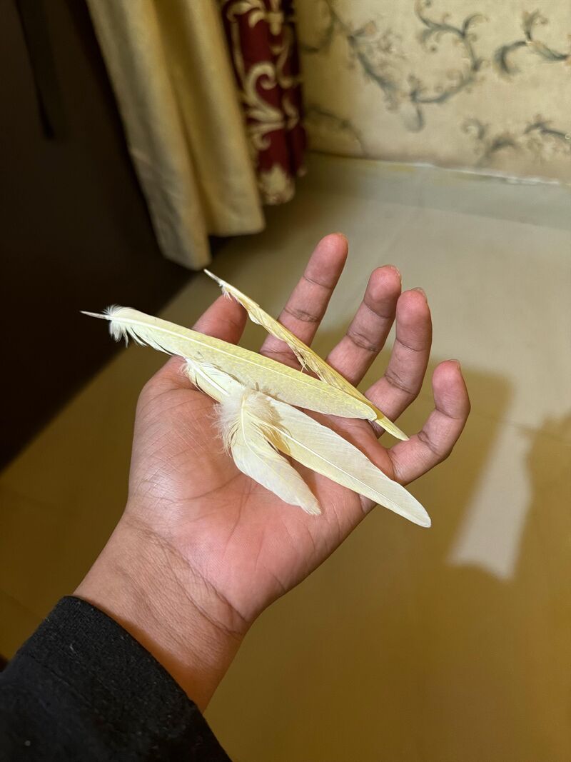 She is really gone huh?