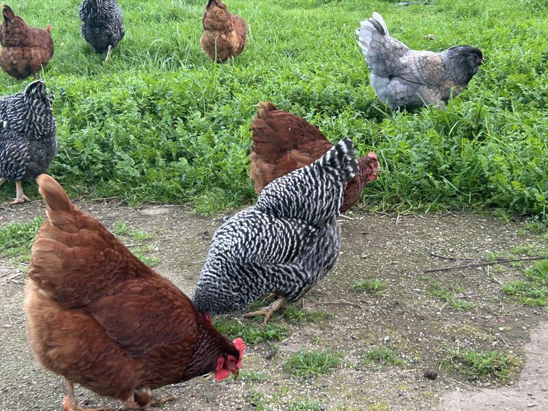 No better way to start the day