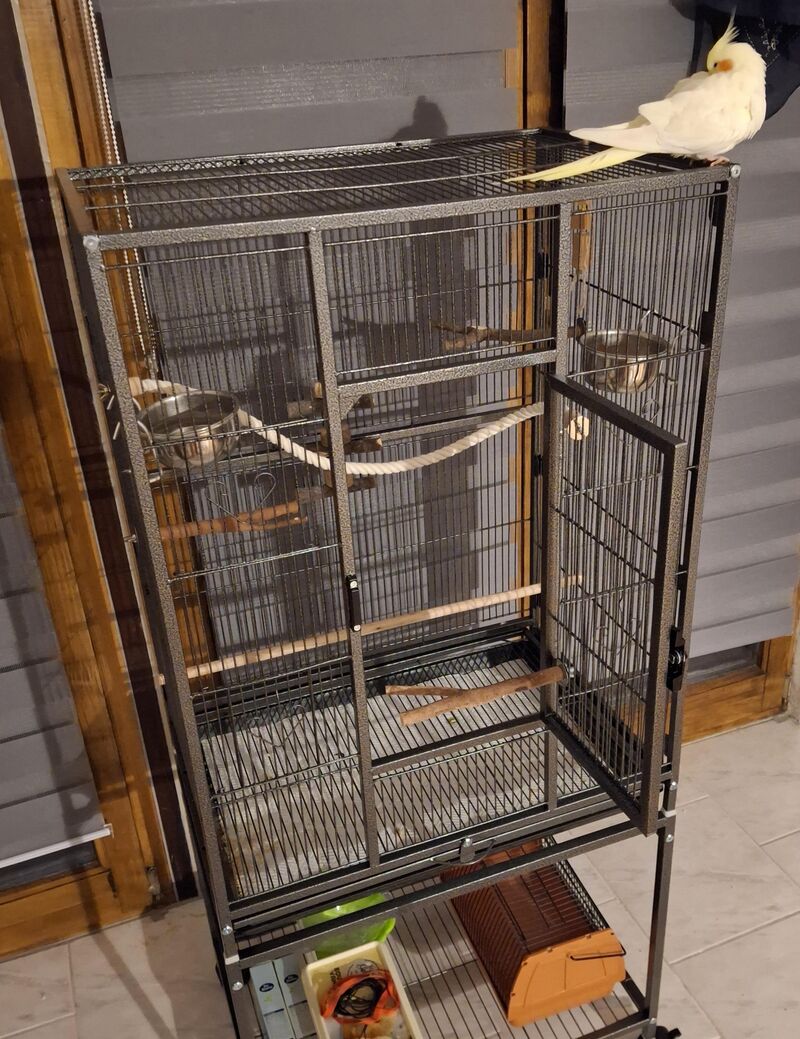 Is this cage setup okay?
