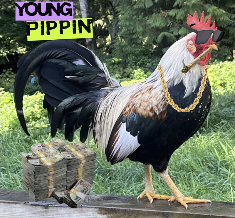 Pippin', AKA Young Pippin', AKA Big Pippin', AKA GET OFF MY CAR!