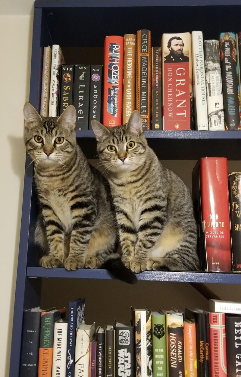 The Water Tribe Siblings