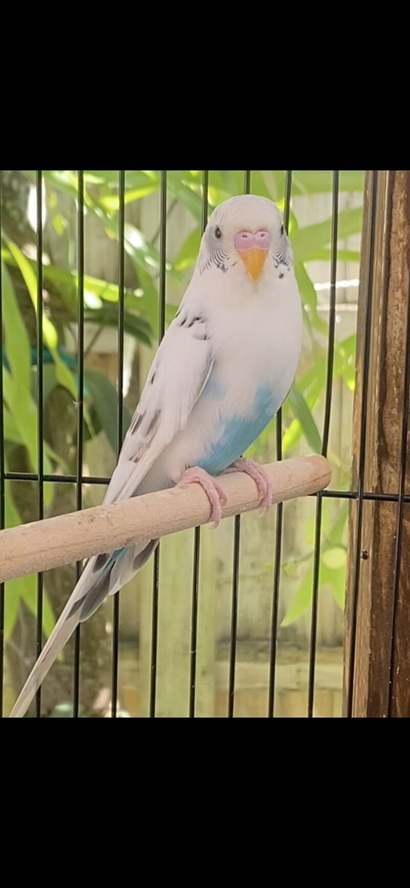 Male or female ? Please help