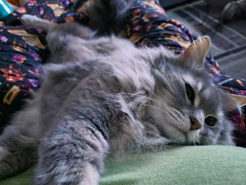 Happy 15th birthday SqueeMuffin 🎂