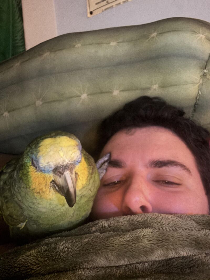 I feed and water you and yet you have no respect for me