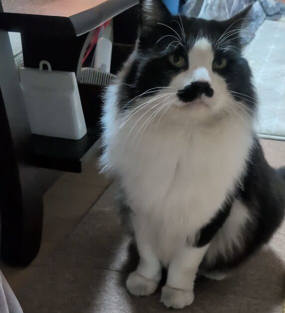 The distinguished gentleman has arrived.