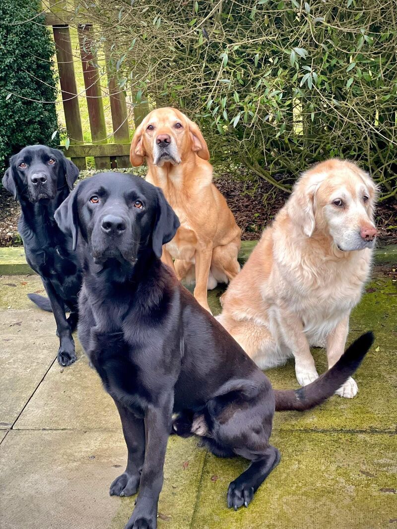 I can’t quite put my finger on it, but I feel as if one of these guys is a bit bored of my impromptu photoshoots!