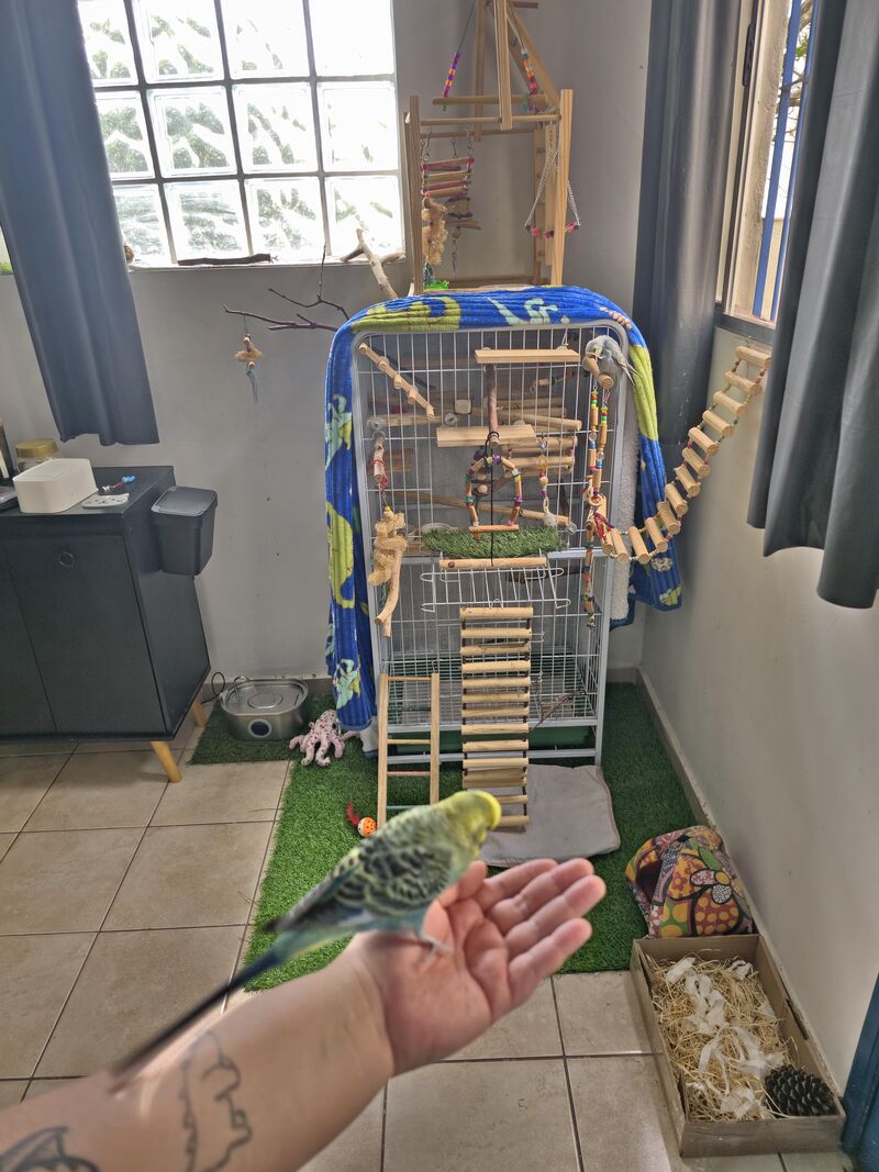 Cleaning Day 🧹🧽🫧