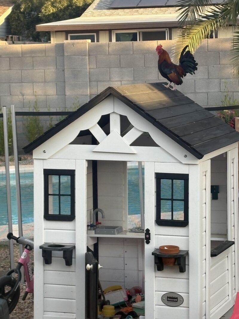 What yall use? (Pic for attention lol)