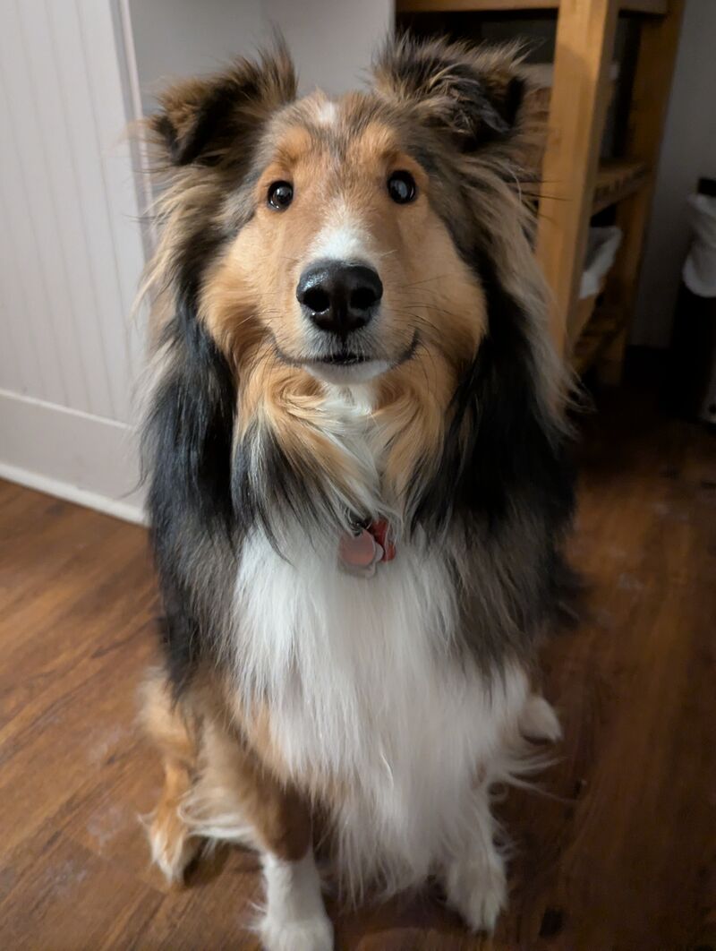 Riley has no idea what's going on, he's just happy to be included.