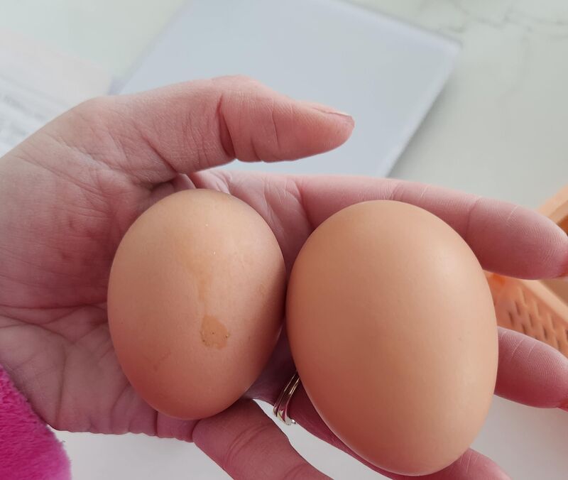 Regular(58g) vs the time and ostrich broke in or something(85g)