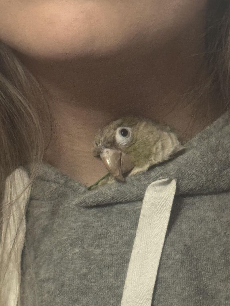 someone likes monitoring me while i do my makeup