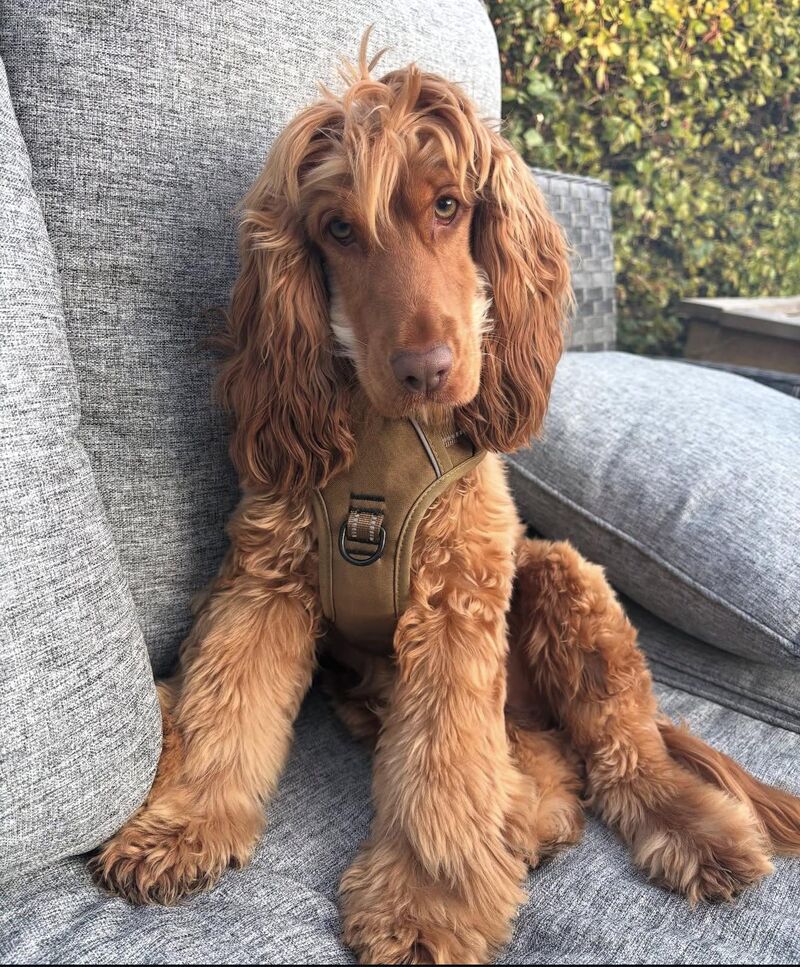 It’s Marleys world and I’m just happy to live in it