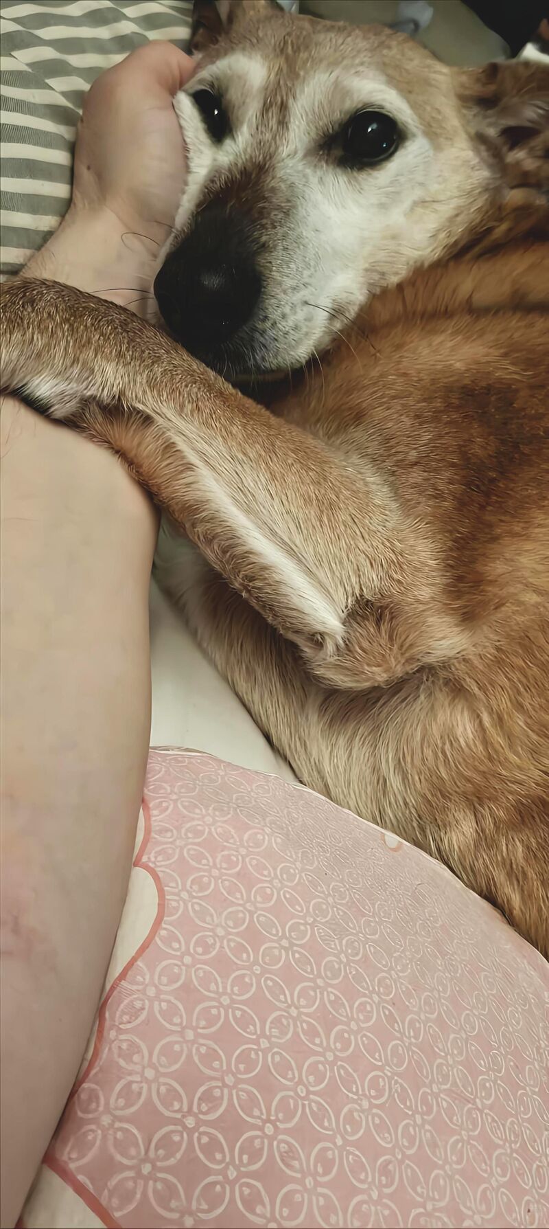 I hope you find someone who will look at you like that