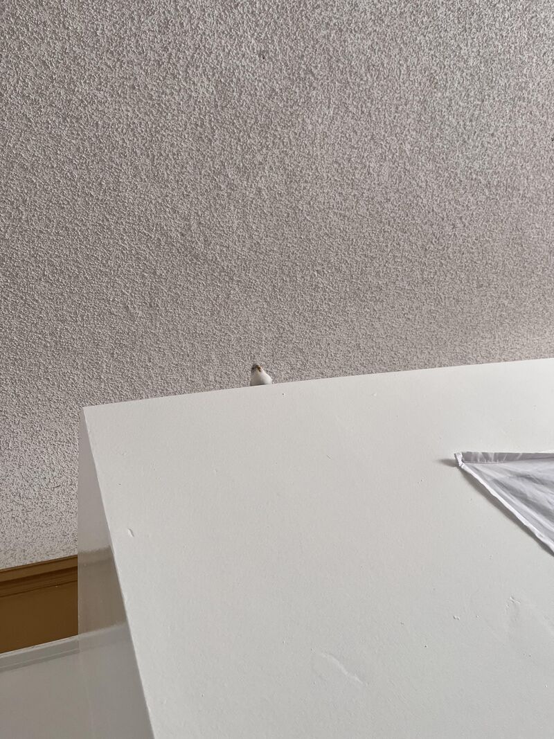 Overlord watching me eat my fast food, judging me