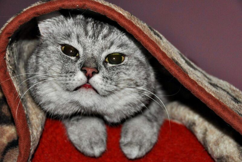 It is cold outside. We are keeping warm.