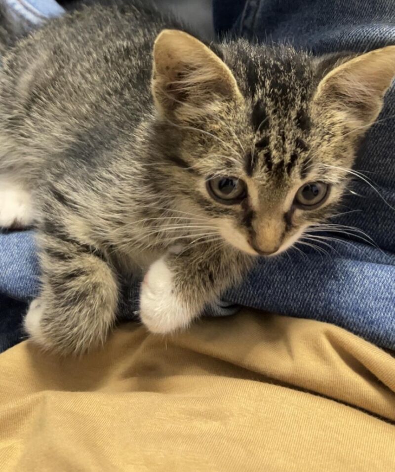 Just chilling with my little one