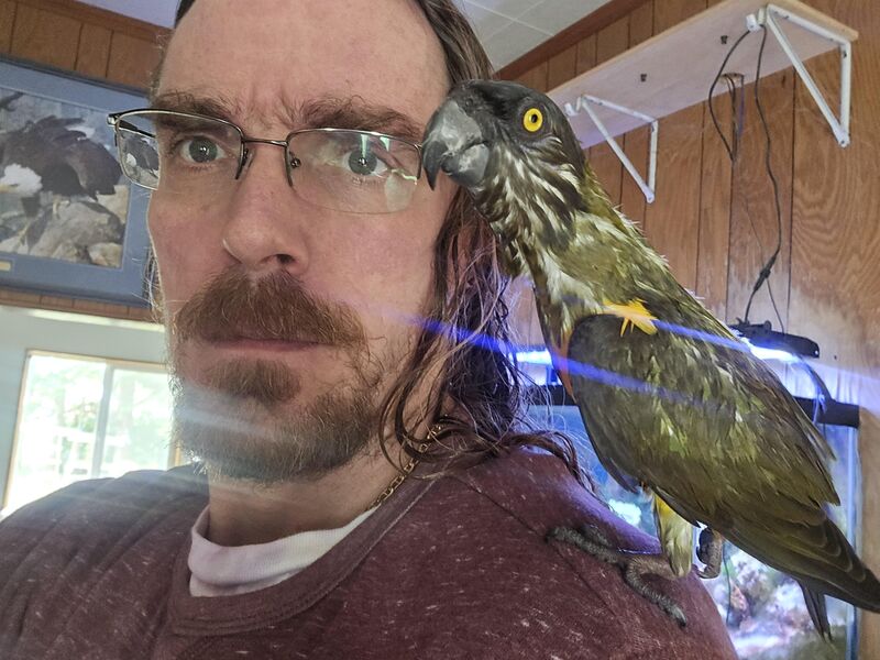 Burtle will agree to a ceasefire for showers