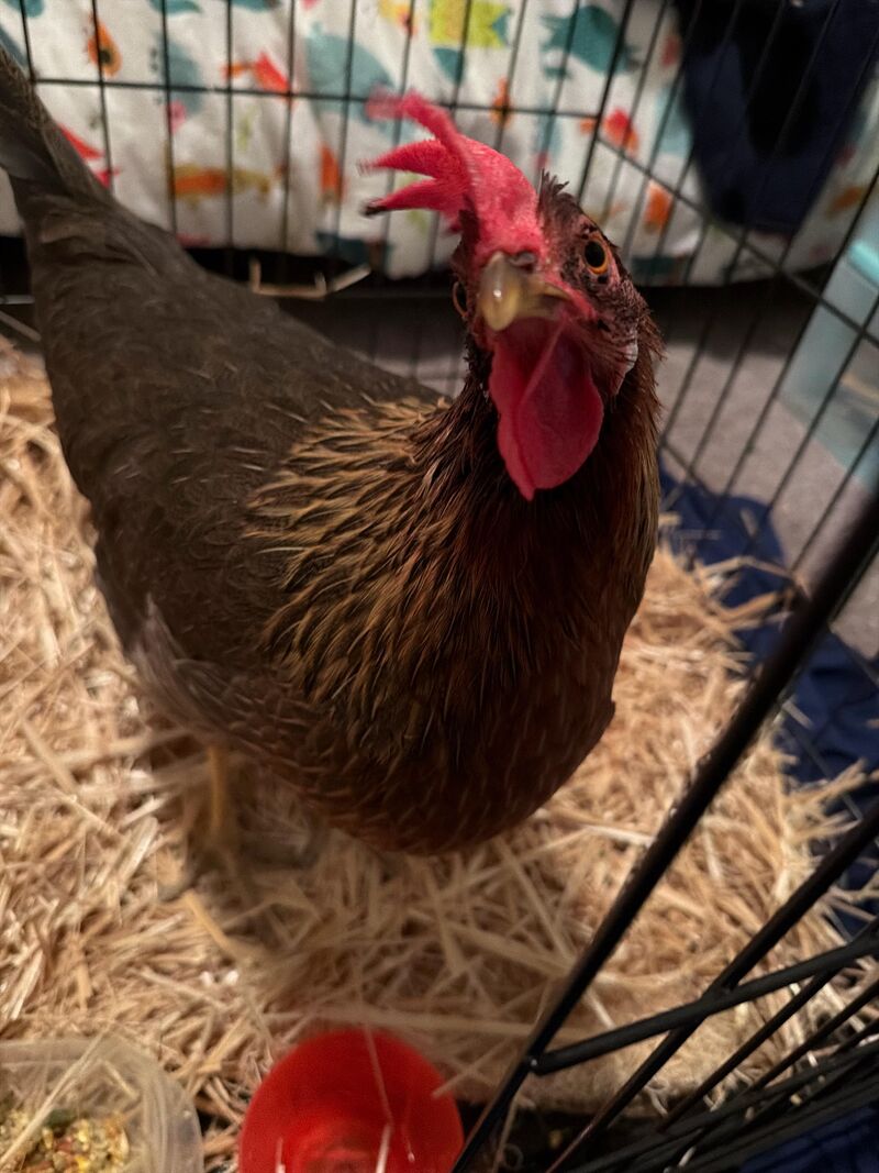 They’re beating her up