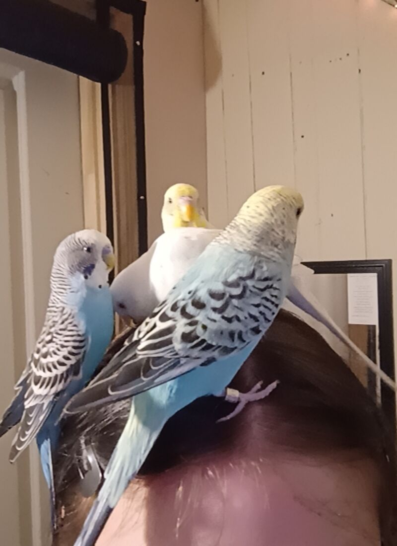 My little cuties 🥹