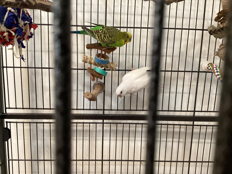 They’re always fighting 😭