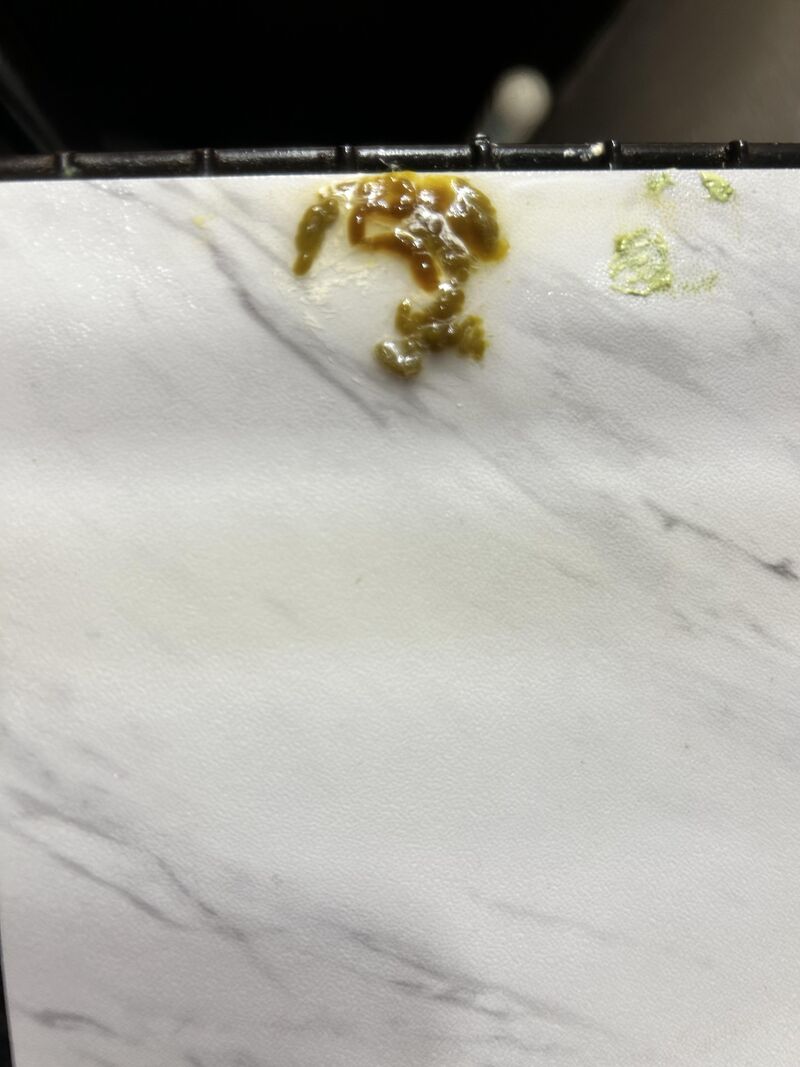 concern as a parrot owner!