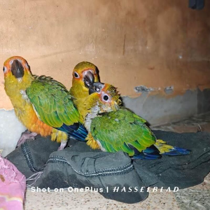 “Three little troublemakers I didn’t plan for… but now can’t live without ❤️”