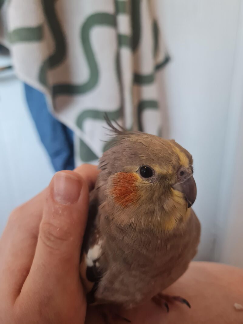 I know a lot of people hate grief posts but I don't know where else anyone will understand me.