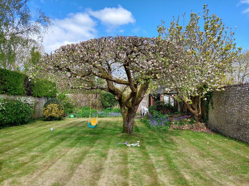 Looking at getting some back yard chickens and had a few questions.