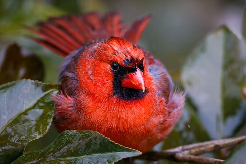This gentleman was taking shelter from the rain