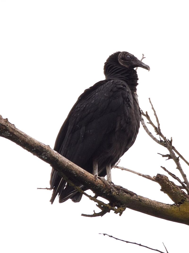 Nothing wasted by watching.