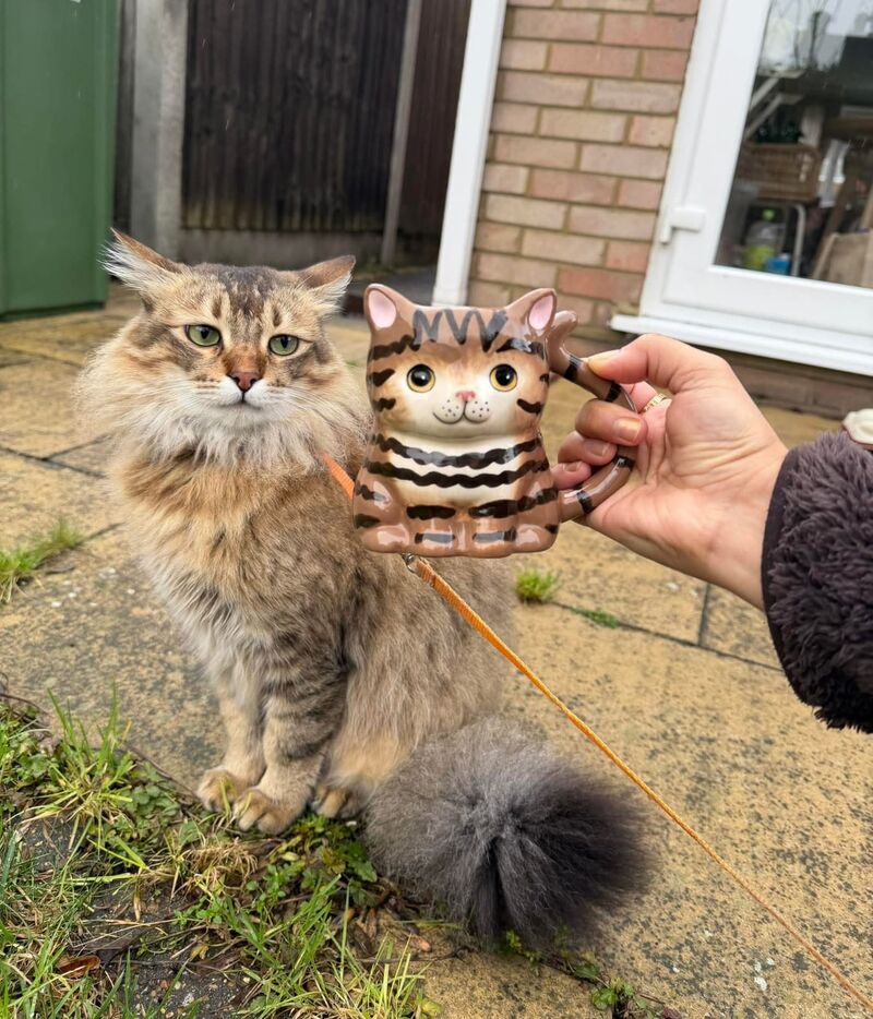 I found a mug that looks like my shifu