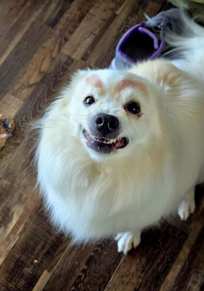 Mr Bear was being a needy baby when I was getting dressed, so he got some eyebrows. 🥰