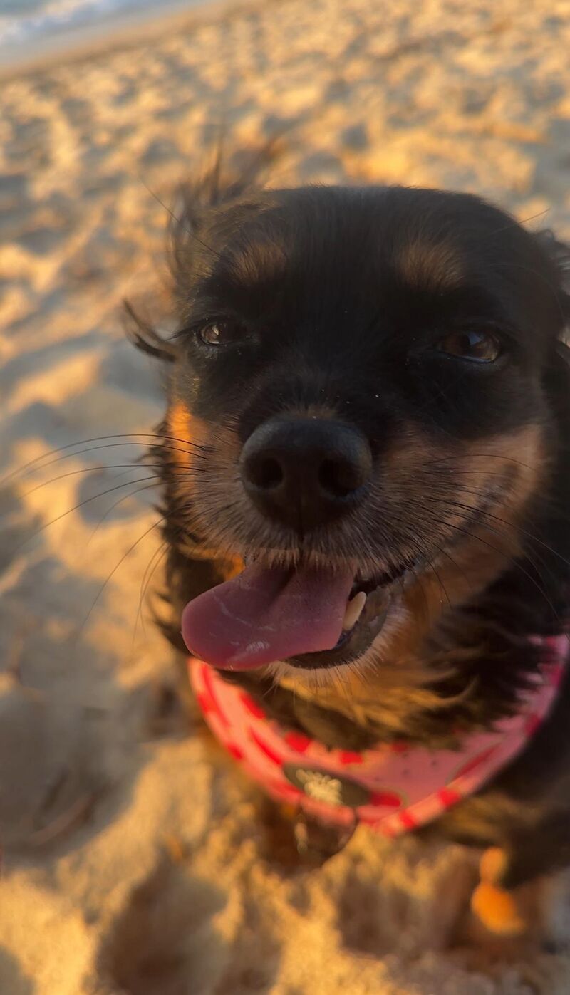 She’s adorable but there’s nothing going on between those ears