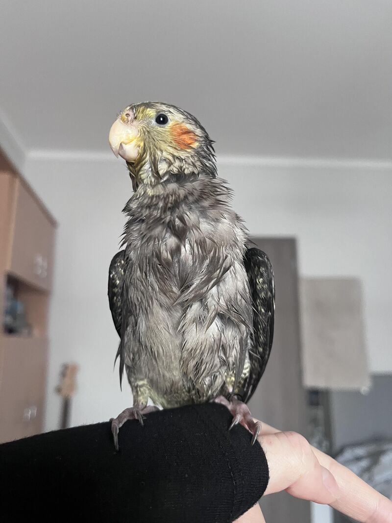 The first bath she enjoyed