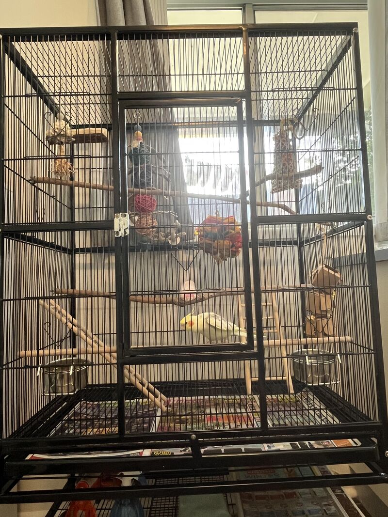 Cage size for two?