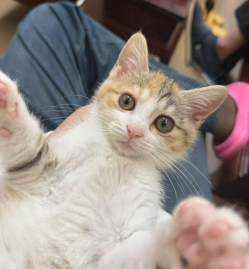 I was just holding him and those eyes completely melted me.