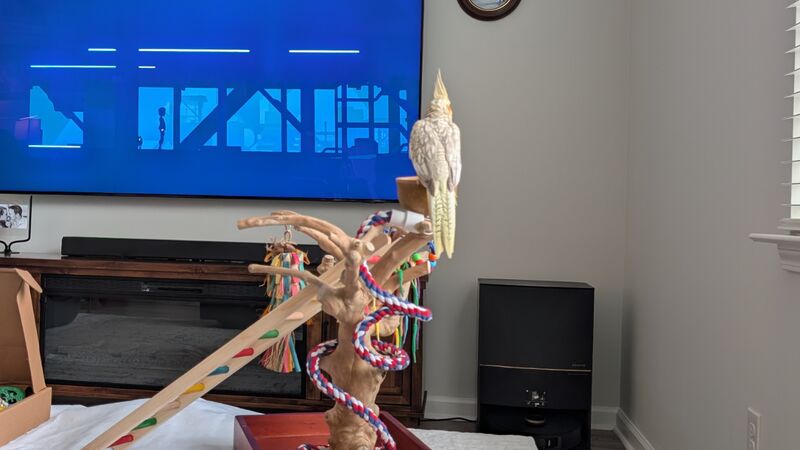 She loves watching her video games