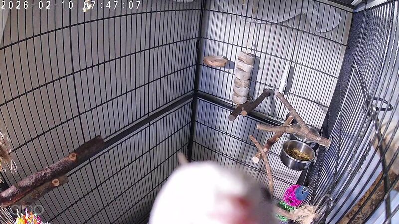 SHE FOUND THE CAMERA!