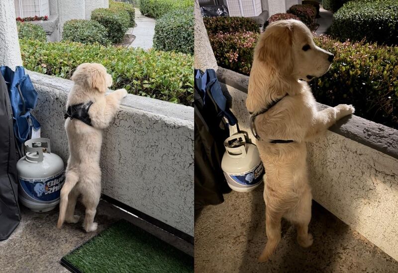 2 Months -> 5 Months